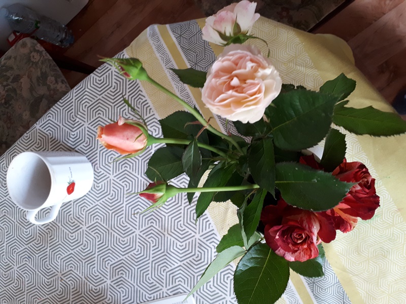 20210827_150929.jpg