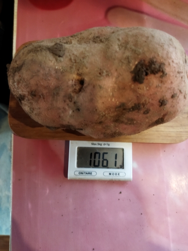 1630607342094.jpg