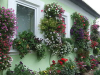 DSCF5847.JPG
