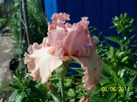100_4168.JPG