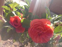 IMG_0725.JPG