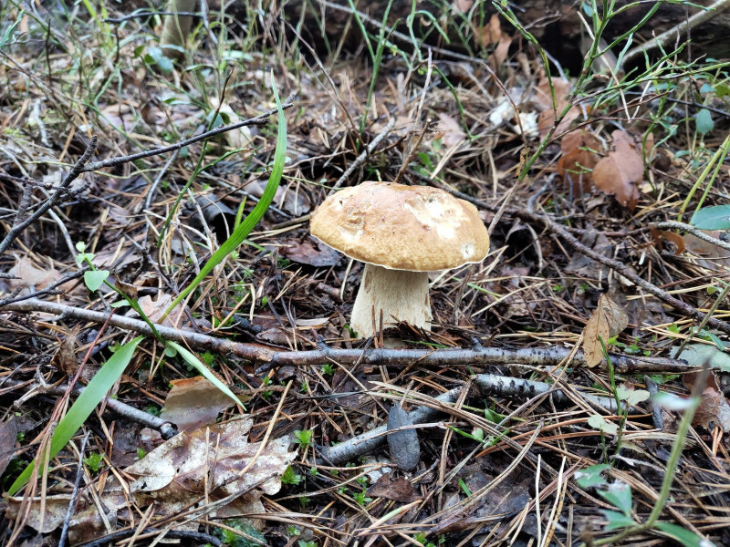P10905-133848.jpg