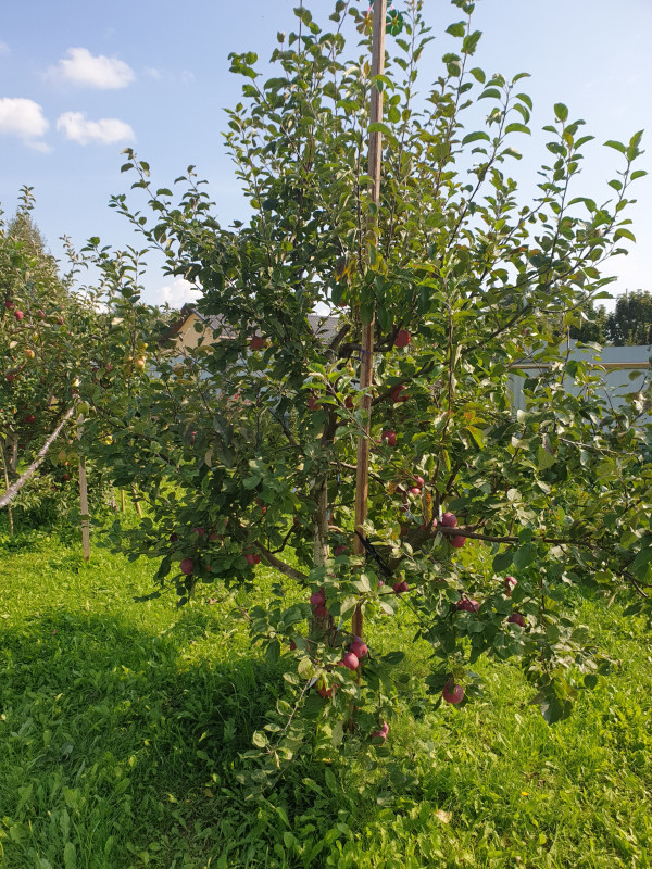 20210912_230914.jpg