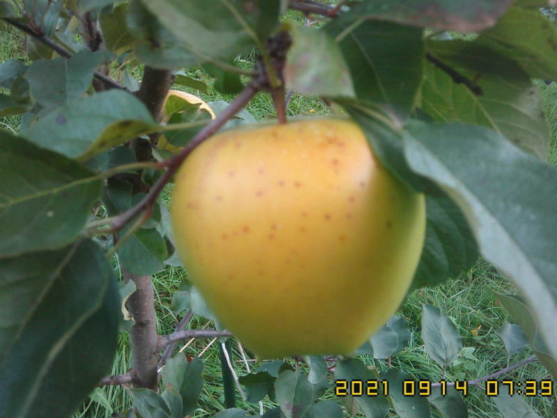 IMG10263.jpg