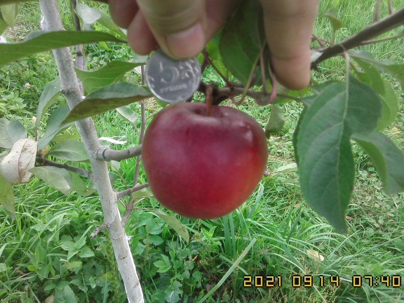 IMG10265.jpg