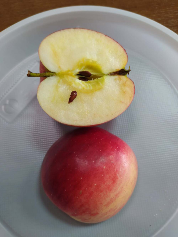 2021-09-14_Афродита.jpg