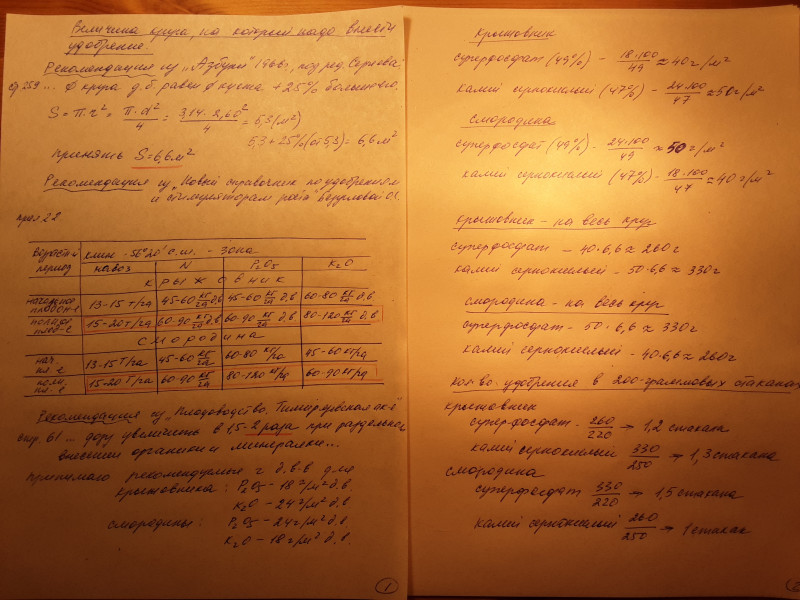 20210914_190903.jpg
