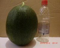 CIMG1004.JPG