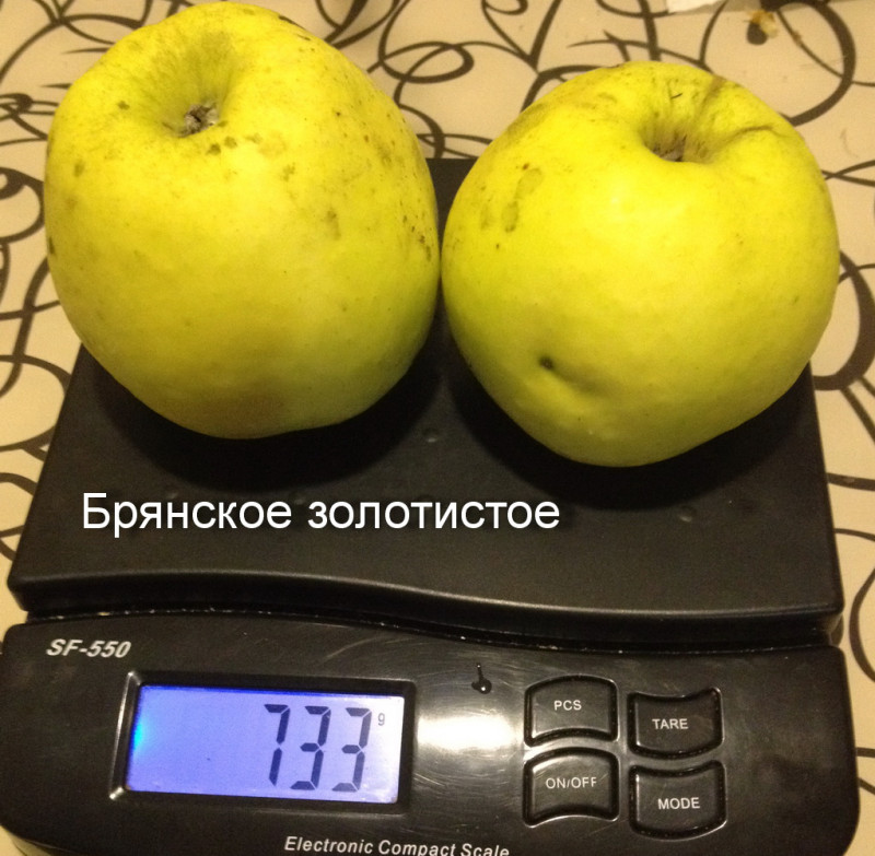 IMG_0460.JPG