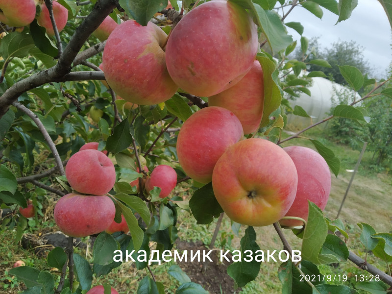 IMG_20210919_132925.jpg