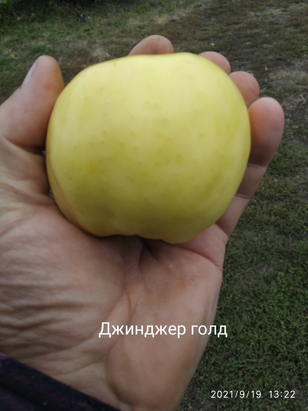 IMG_20210919_132325.jpg