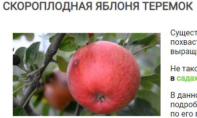 Теремок.JPG