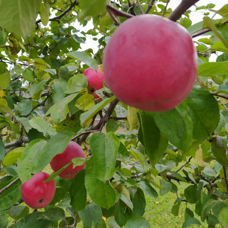 1632572026401_resize_19.jpg