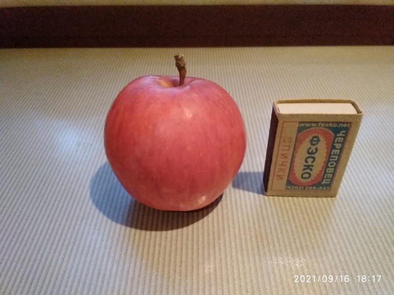 IMG_20210916_181715.jpg