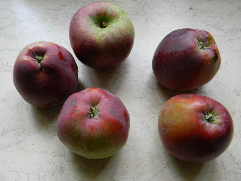 Image00003.jpg