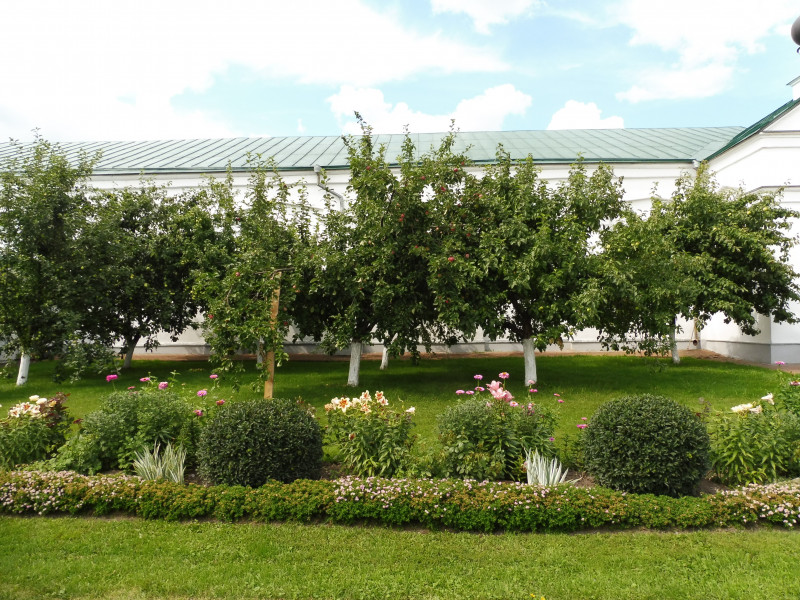 27.07.2019