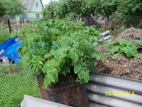 100_4227.JPG