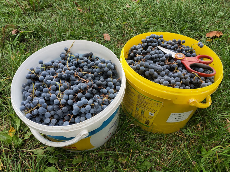 P10925-135301.jpg