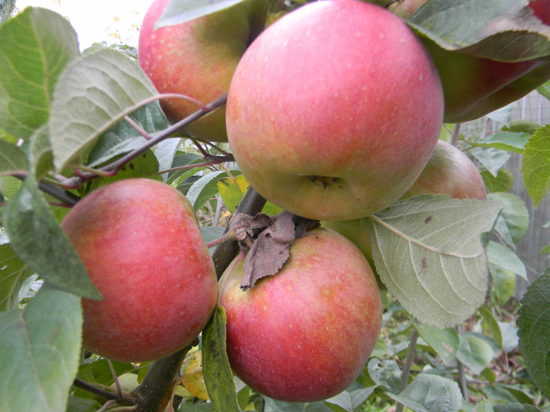 Image00001.jpg