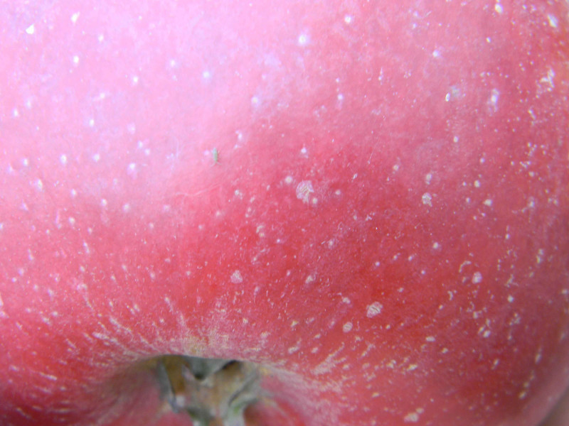 Image00002.jpg
