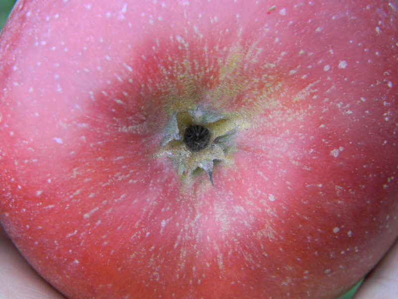Image00003.jpg