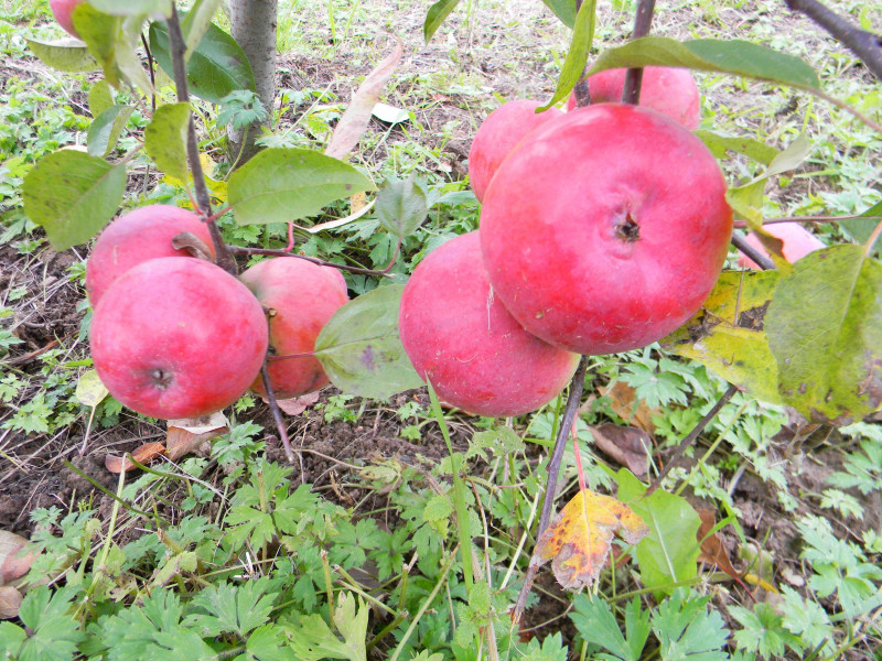 Image00001.jpg