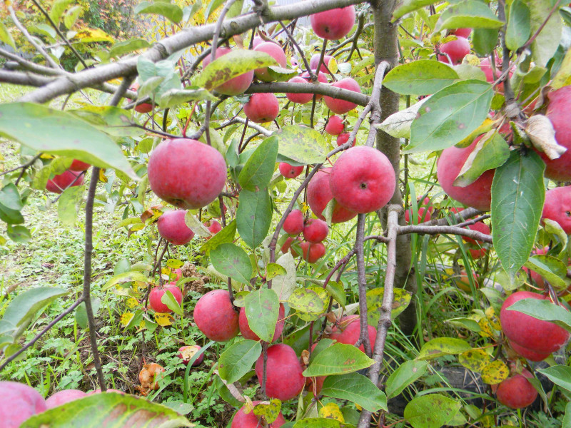 Image00002.jpg