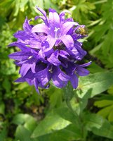 P1010177.JPG