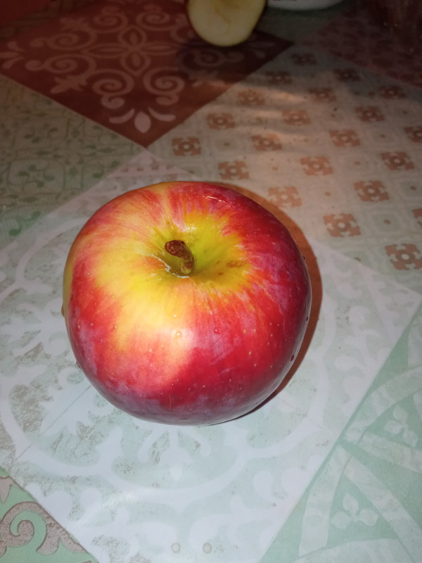IMG_20211004_191605.jpg