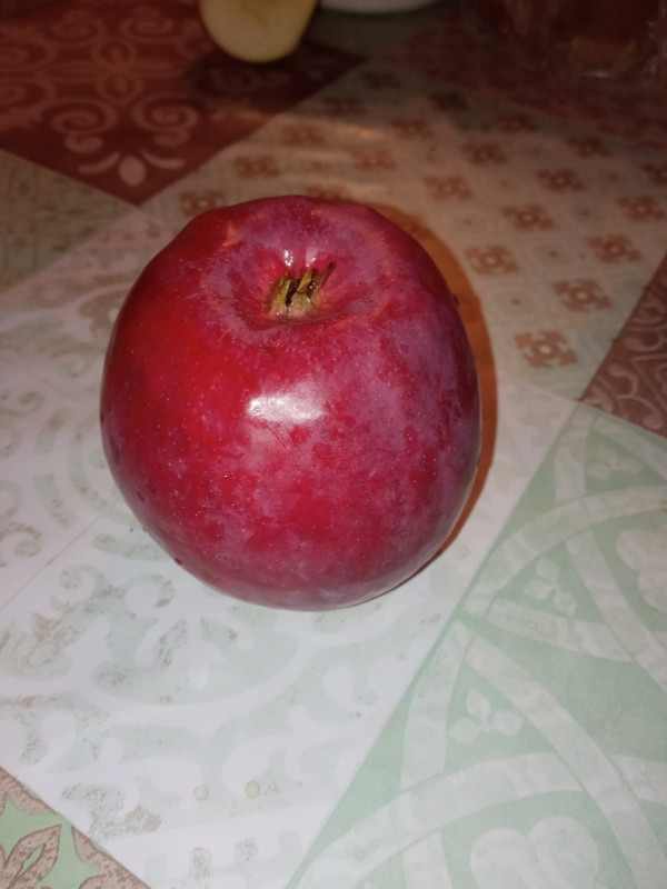 IMG_20211004_191558.jpg