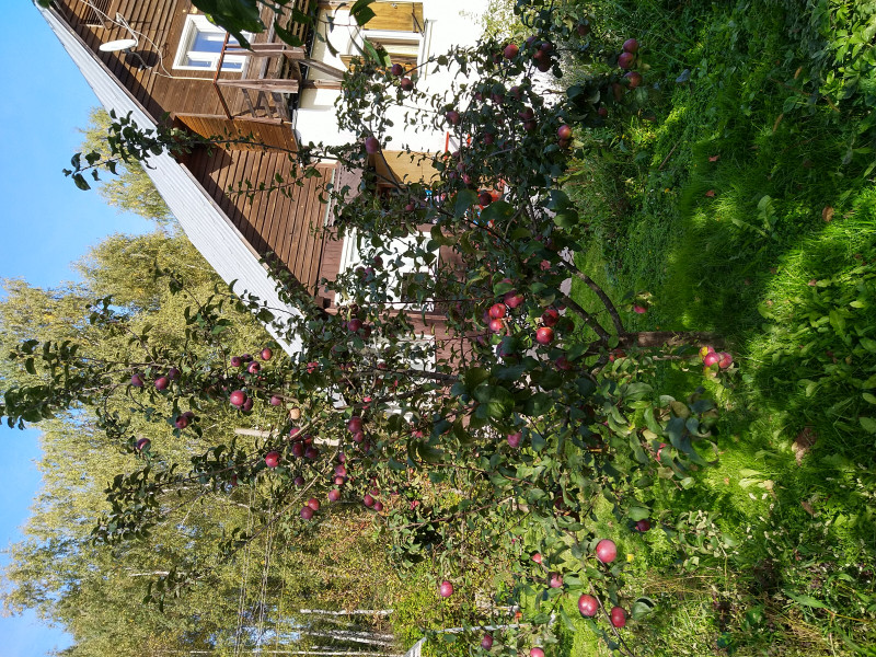 IMG_20210918_152105.jpg