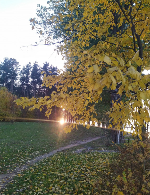 Немного солнца в холодной воде (с)