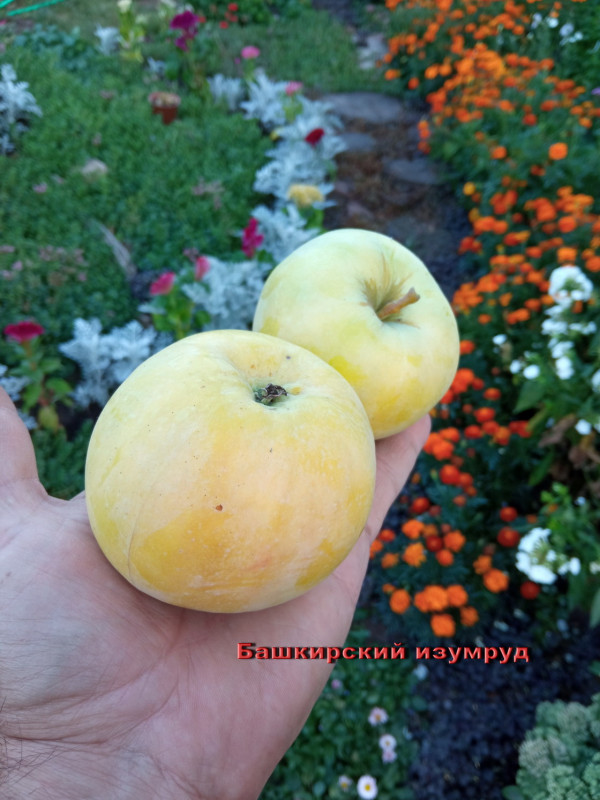 Башкирский изумруд