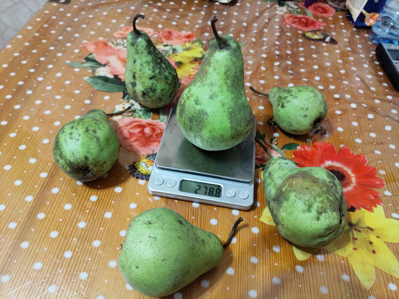 P11010-192735.jpg