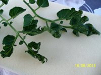 100_4277.JPG