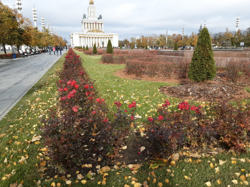 IMG-20211017-WA0003.jpg