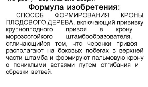 патент RU2041599 C1.PNG
