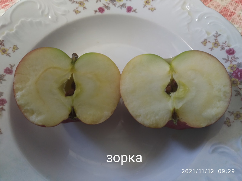 IMG_20211112_092941.jpg