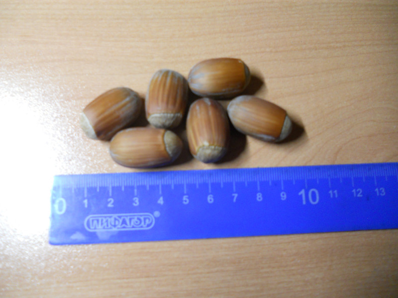 DSCN0005.JPG