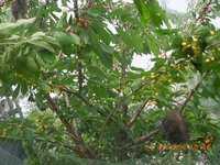 DSCN2139.JPG