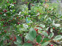 DSCN2140.JPG