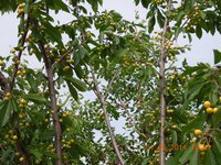 DSCN2148.JPG