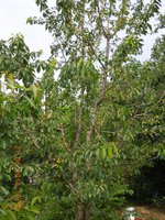 DSCN2150.JPG