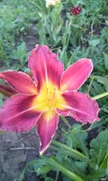 CAM00498.jpg