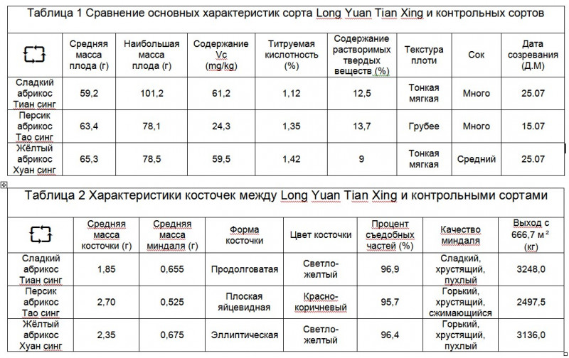 Буфер обмена01.jpg