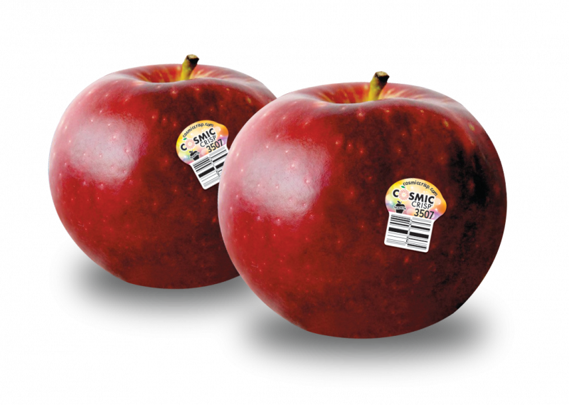 CC_Apple_withPLU-Stickers.png