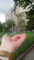 Плоды на фоне дерева и дома с башенкой