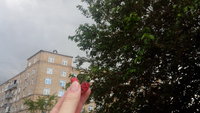 она