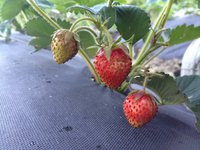 2014-06-23 20-24-39.JPG