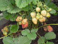 DSCN5635.JPG